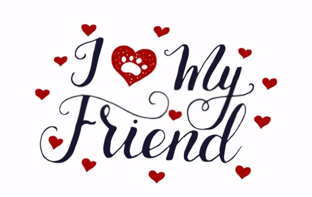 I love and respect my friends (4)