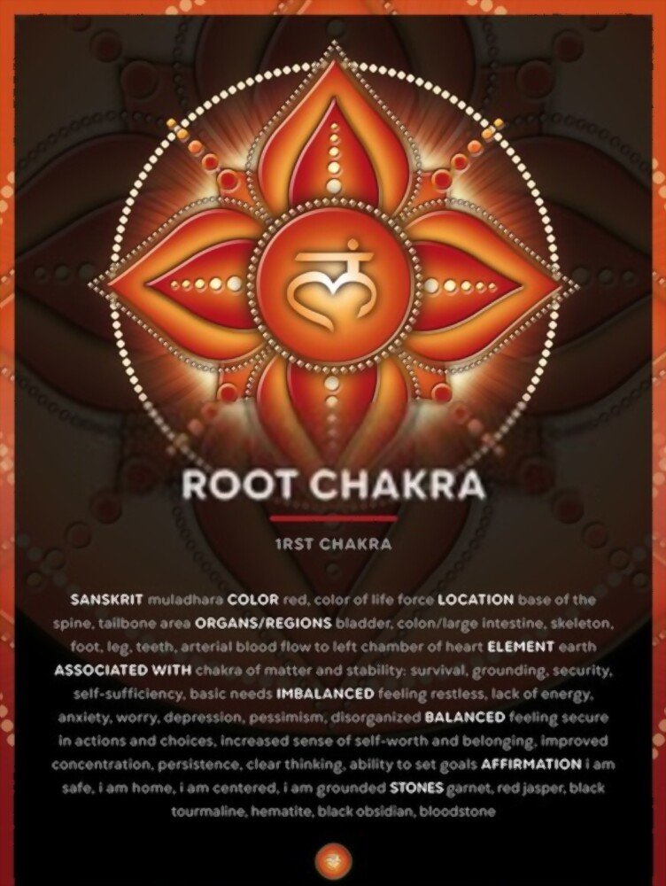The Root Chakra, or Muladhara